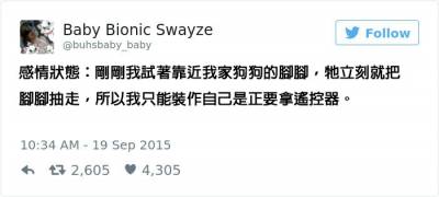 單身狗哭哭喔！12個「魯到極致」的範例！ 7真的是幫QQ啊！