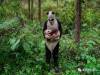 這些是「用一張照片打動全世界」的攝影比賽作品！第一張熊貓的照片就「超級震撼人心」這就是照片的力量！