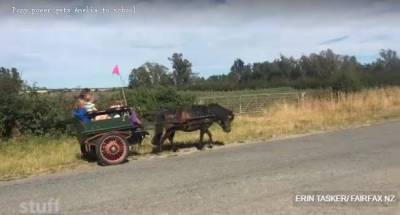 小女孩「公主般的待遇每天坐馬車上下學」超夢幻！跑車 司機接送都沒她拉風，恨不得每天去上課～