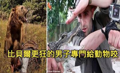 動物專家「唯一能比貝爾還狂的男子是他」人稱狼叔！遇到任何動物「都給他們咬」以身試法...