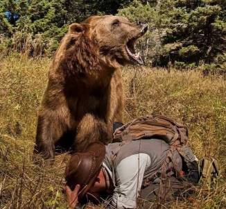 動物專家「唯一能比貝爾還狂的男子是他」人稱狼叔！遇到任何動物「都給他們咬」以身試法...