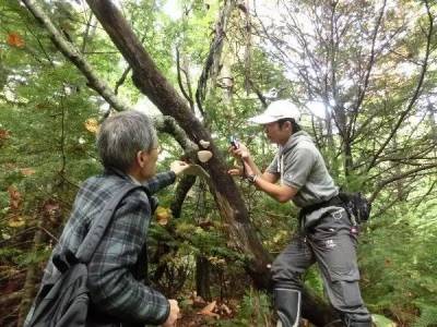 不惜與老婆離婚，也要堅持在野外拉屎，這個日本67歲大叔絕了！