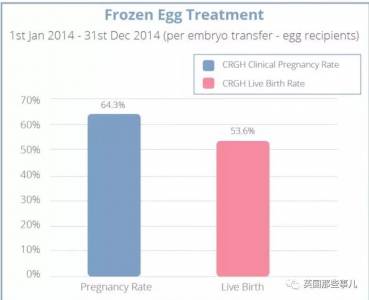 冷凍卵子？他們用高成功率騙那麼多女性去凍卵...然而最近曝光成功率，低的可怕