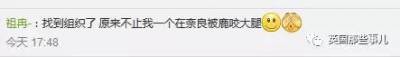 鞠躬個屁！奈良小鹿才是真正的大爺，你若是不給吃他可是會攻擊你，就連這一項舉動他也會對你做...