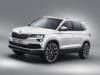 中型SUV新主力公開，SKODA KAROQ 預計年底來台！