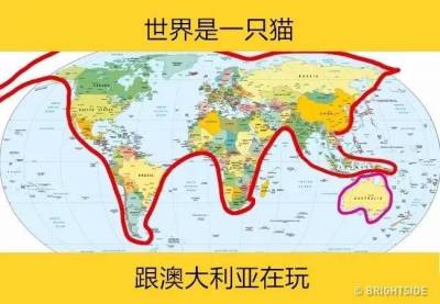 11張各種數據的世界地圖， 8竟然是世界女性罩杯分布圖