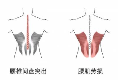 如何練就一副公狗腰：學會3招健身小技巧，女同事天天誇我好棒棒