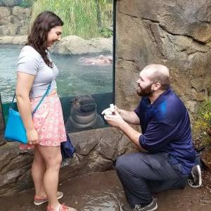 一哥們在動物園向自己女朋友求婚，一切非常順利，只是突然旁邊出現了一雙幽怨的眼睛...