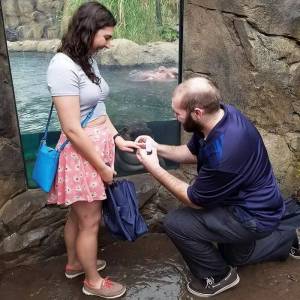 一哥們在動物園向自己女朋友求婚，一切非常順利，只是突然旁邊出現了一雙幽怨的眼睛...