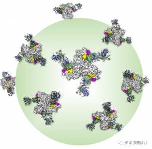 給身體植入芯片不夠，還要編輯自己DNA 這幫生物黑客，膽很大