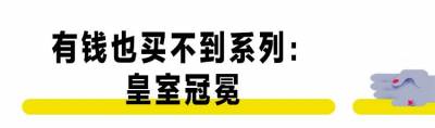 這個櫥窗發出的光是全球最大黑洞，每個姑娘都會在它面前站到生命枯竭