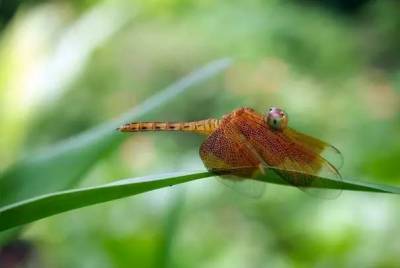 用生命在拍照：高大上的照片拍出來真不容易！