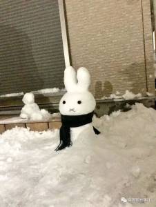 一場東京暴雪，一夜之間日本人民堆雪人的腦洞再！也！關！不！住！了！