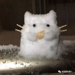 一場東京暴雪，一夜之間日本人民堆雪人的腦洞再！也！關！不！住！了！