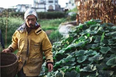 從日本到大理，這一家四口把日子過成了田園詩，這才是生活的真諦