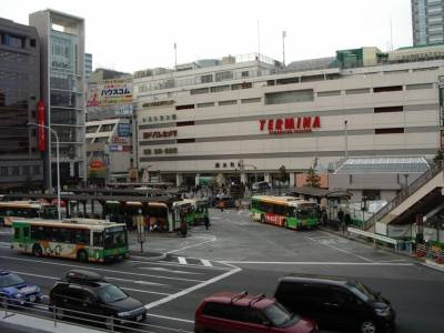 日本一隻烏鴉火了，因為它「偷乘客的卡買車票」！