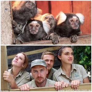 聽說這是現在去動物園最流行的拍法 第六張也太可愛了吧