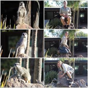 聽說這是現在去動物園最流行的拍法 第六張也太可愛了吧