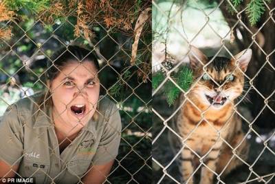 聽說這是現在去動物園最流行的拍法 第六張也太可愛了吧