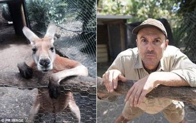 聽說這是現在去動物園最流行的拍法 第六張也太可愛了吧