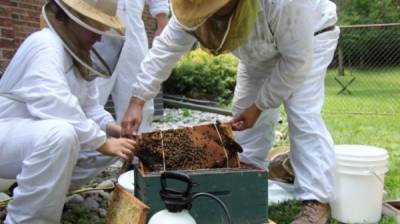 住宅外牆，流出神秘液體 …破牆後，發現大量的…！！！