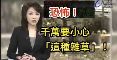 妹子「太胸」其實也是一種困擾！看完「10張照片」後，我原本想同情卻越叫越大聲！